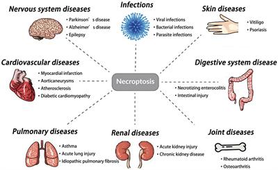 Necrostatin-1: a promising compound for neurological disorders